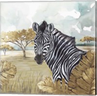 Framed 'Golden Zebras' border=