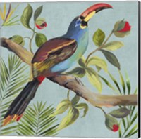 Framed 'Paradise Toucan I' border=