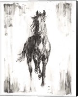 Framed 'Rustic Black Stallion I' border=