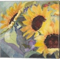 Framed 'Sunflowers in Watercolor I' border=