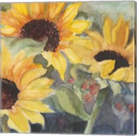 Framed 'Sunflowers in Watercolor II' border=