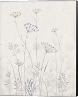 Framed 'Neutral Queen Anne's Lace I' border=