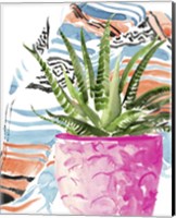 Framed 'Zebra Succulent I' border=