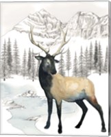 Framed 'Winter Elk I' border=