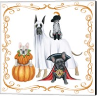 Framed 'Howloween II' border=