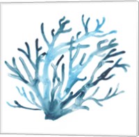 Framed 'Azure Seafan IV' border=