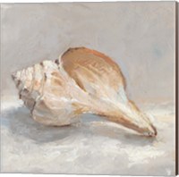 Framed 'Impressionist Shell Study III' border=