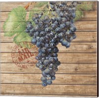 Framed 'Grape Crate I' border=