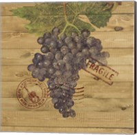 Framed 'Grape Crate III' border=