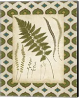 Framed 'Moroccan Ferns II' border=