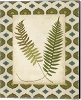 Framed 'Moroccan Ferns III' border=