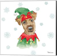 Framed 'Holiday Paws VII' border=