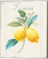 Framed 'Floursack Lemon III v2' border=