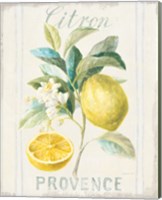 Framed 'Floursack Lemon IV' border=