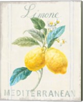 Framed 'Floursack Lemon III' border=