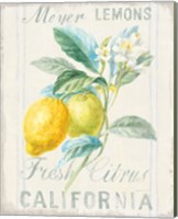 Framed 'Floursack Lemon II' border=