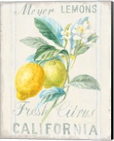 Framed 'Floursack Lemon II' border=