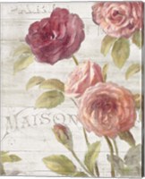 Framed 'French Roses III' border=