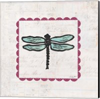 Framed 'Dragonfly Stamp Bright' border=