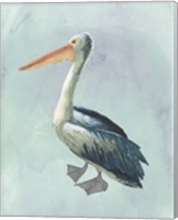 Framed 'Watercolor Beach Bird VI' border=