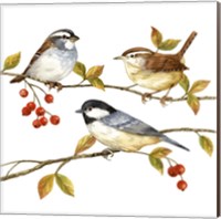 Framed 'Birds & Berries I' border=