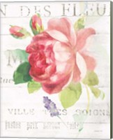 Framed 'Maison des Fleurs VIII' border=