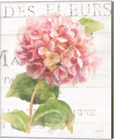 Framed 'Maison des Fleurs VII' border=