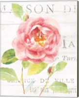 Framed 'Maison des Fleurs V' border=