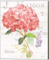 Framed 'Maison des Fleurs VI' border=