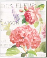 Framed 'Maison Des Fleurs IV' border=