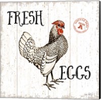 Framed 'Free Range Fresh IV' border=