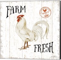 Framed 'Free Range Fresh III' border=