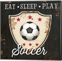 Framed 'Eat, Sleep, Play, Soccer' border=