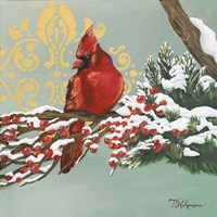 Framed 'Winter Red Bird I' border=