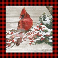 Framed 'Winter Red Bird III' border=