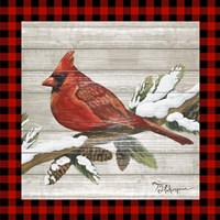 Framed 'Winter Red Bird IV' border=