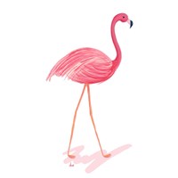 Framed 'Flamingo Walk III' border=