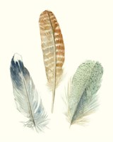 Framed 'Watercolor Feathers IV' border=