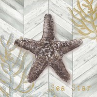 Framed 'Gray Gold Chevron Star Fish' border=