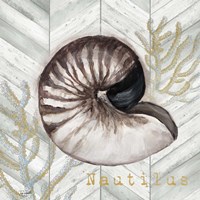 Framed 'Gray Gold Chevron Nautilus Shell' border=