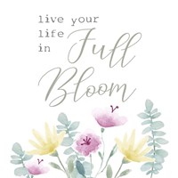 Framed 'Full Bloom I' border=