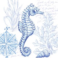 Framed 'Coastal Sketchbook Sea Horse' border=