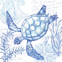 Framed 'Coastal Sketchbook Turtle' border=