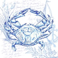 Framed 'Coastal Sketchbook Crab' border=