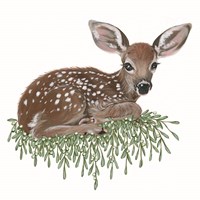 Framed 'Fawn' border=