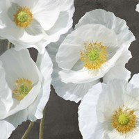 Framed 'Poppies on Chalkboard I' border=