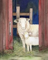 Framed 'Farm Family Sheep' border=