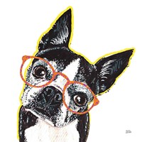 Framed 'Bespectacled Pet IV' border=