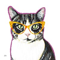 Framed 'Bespectacled Pet III' border=