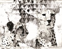 Framed 'Modern Black & White Cheetahs' border=